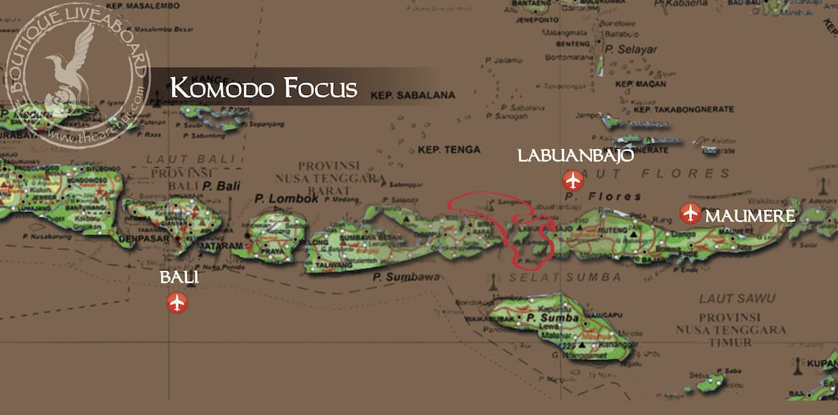 KOMODO FOCUS Labuanbajo-Labuanbajo 11 Days-10 Nights