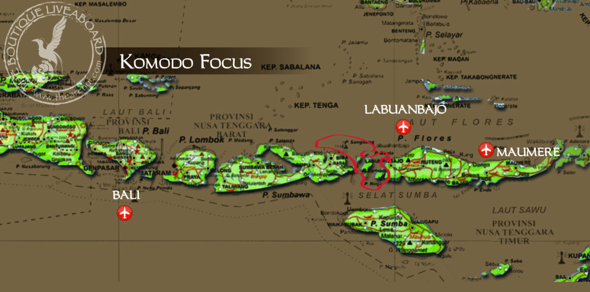 KOMODO FOCUS 15 Sep – 21 Sep 2027