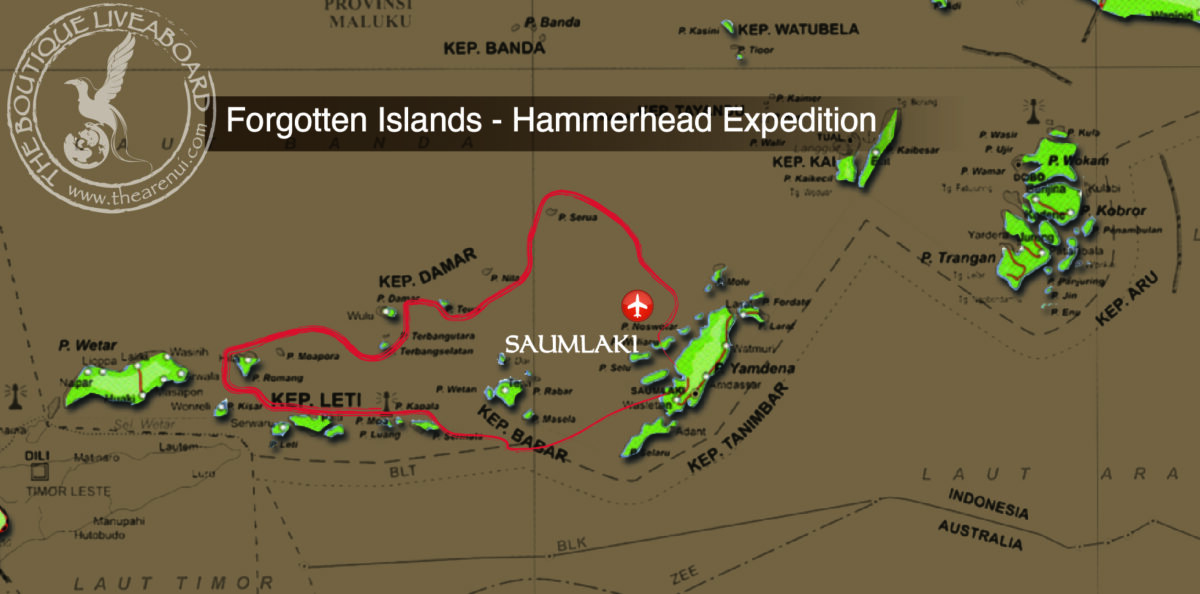 FORGOTTEN ISLANDS-HAMMERHEAD EXPEDITION 27 Sep-04 Oct 2028