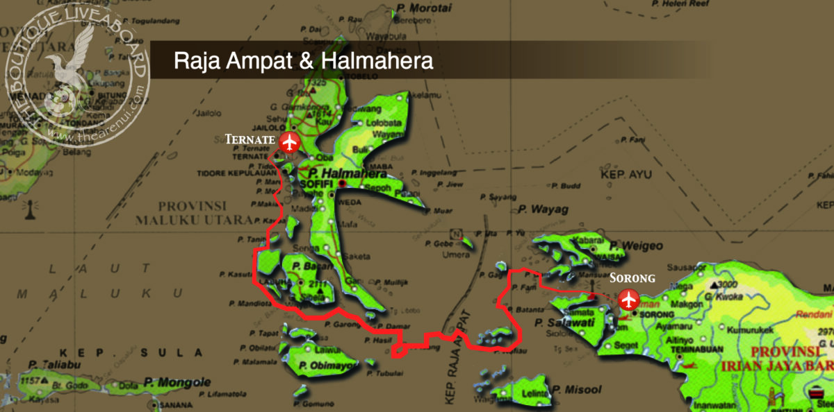 RAJA AMPAT & HALMAHERA 19 Feb-03 Mar 2031