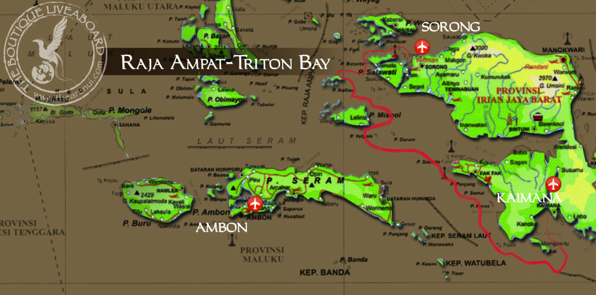 RAJA AMPAT & TRITON BAY 07 Nov-17 Nov 2031