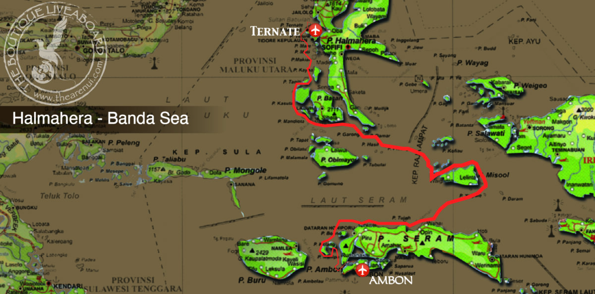 HALMAHERA-BANDA SEA 28 Mar- 08 April 2030